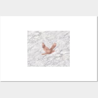 Rose gold marble dove Posters and Art